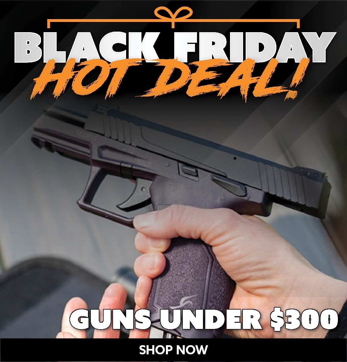 Guns under $300